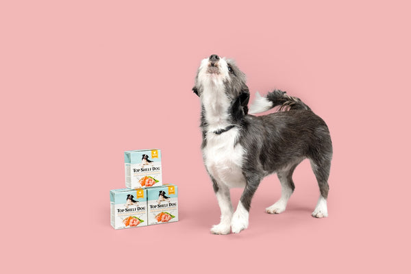 Top Shelf Dog Comes to Market with New Packaging, New Beef, and Enhanced Chicken Recipes - but why You May Ask?