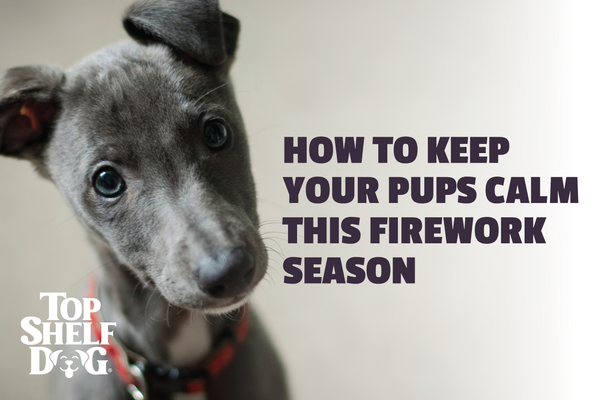 How To Keep Your Pups Calm This Firework Season