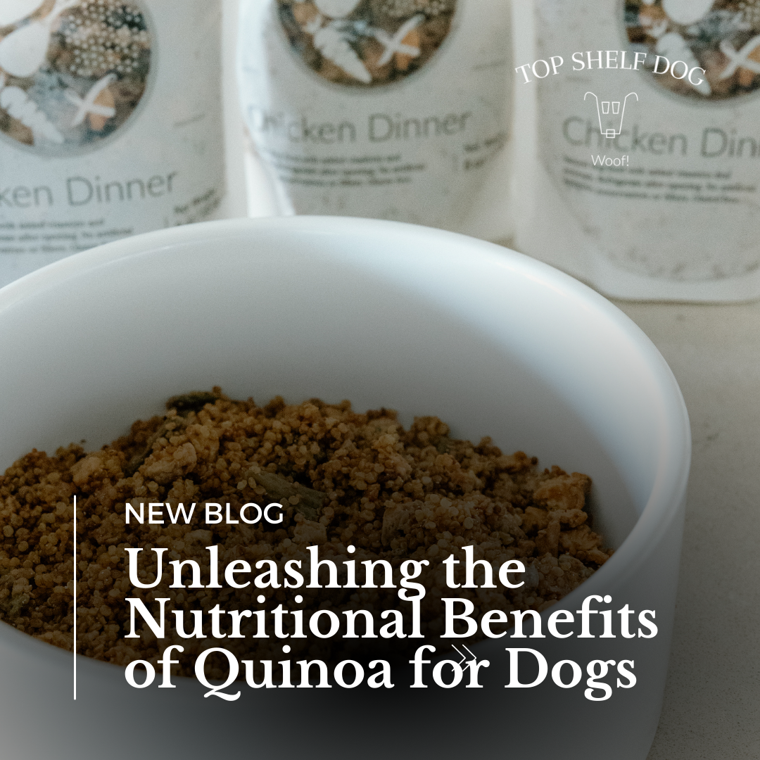 Unleashing the Nutritional Benefits of Quinoa for Dogs Top Shelf Dog