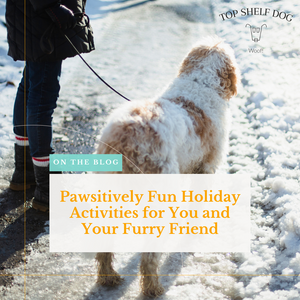 Pawsitively Fun Holiday Activities for You and Your Furry Friend