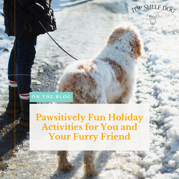 Pawsitively Fun Holiday Activities for You and Your Furry Friend