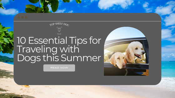 10 Essential Tips for Traveling with Dogs This Summer