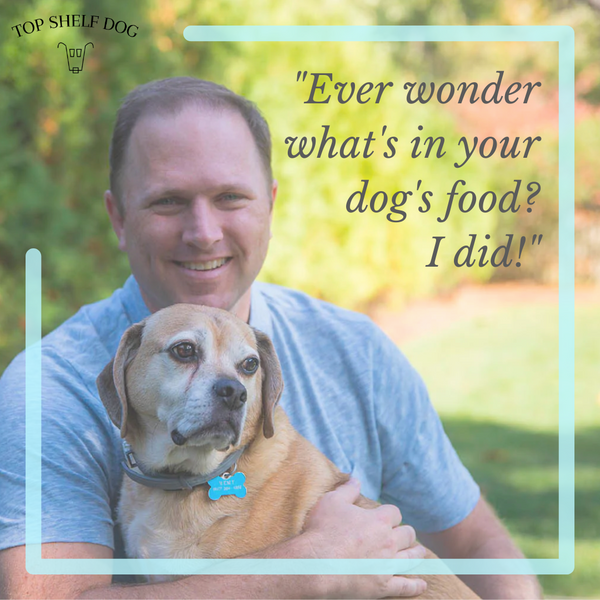 Ever wonder what’s in your dog’s food? I did and it launched a new career!