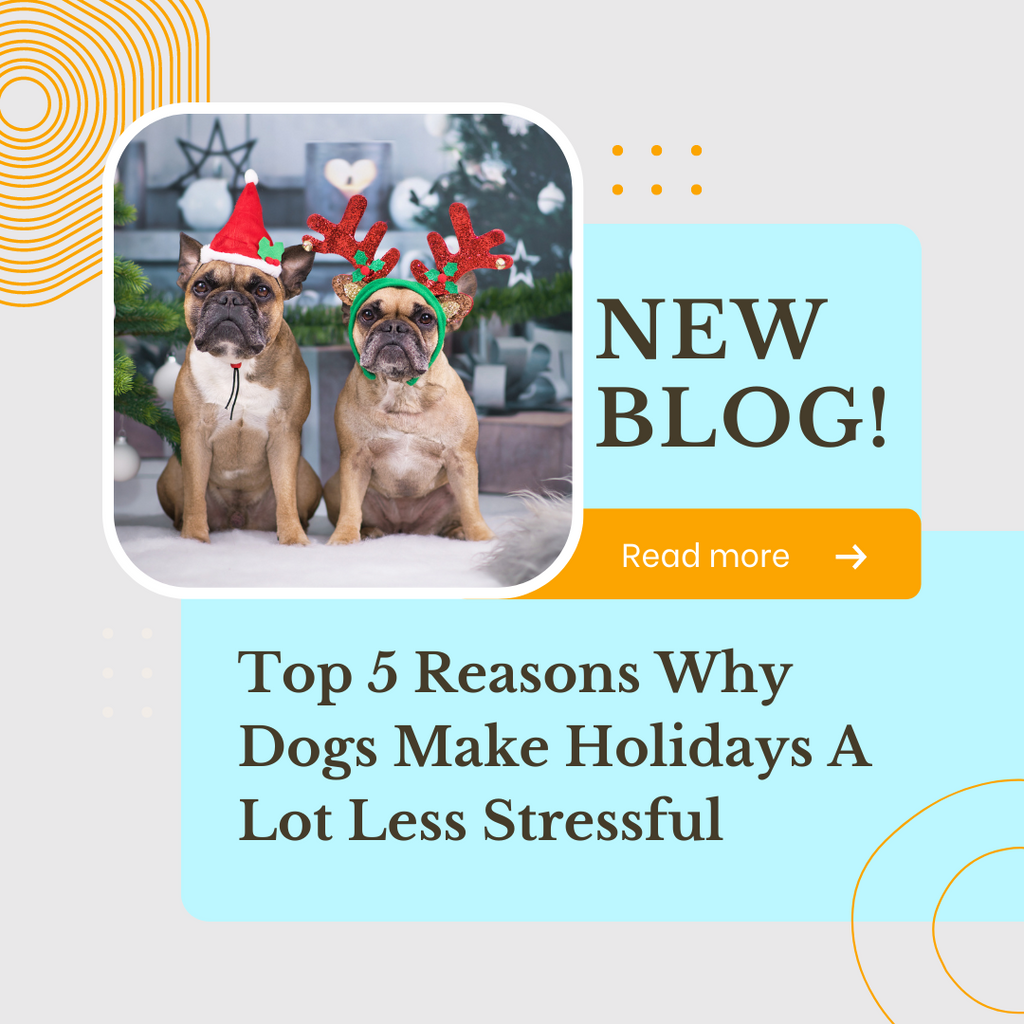 Top 5 reasons why dogs make holidays a lot less stressful