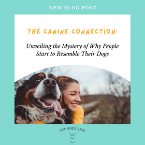 The Canine Connection: Unveiling the Mystery of Why People Start to Resemble Their Dogs