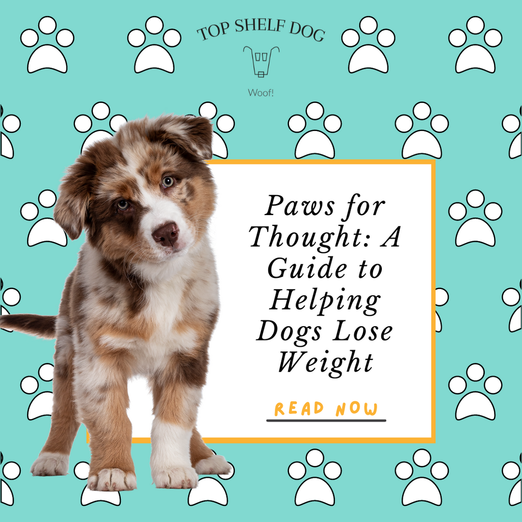 Paws for Thought: A Guide to Helping Dogs Lose Weight